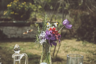 鲜花放在玻璃花瓶
